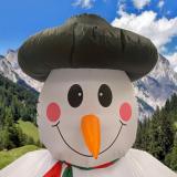 Mr. Snowman